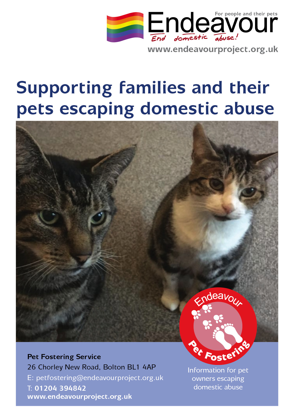 domestic-abuse-service-leaflets-endeavour