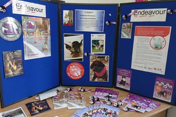 Pet-fostering-and-Fundraising-boards Pet-fostering-and-Fundraising-boards